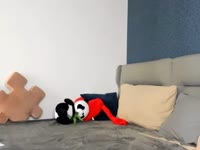 Dariadeluxe